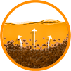 Dirt