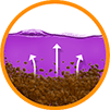 Dirt