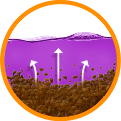 DIRT