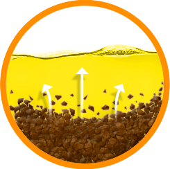 DIRT