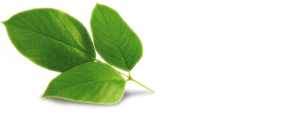  Lemon Fresh<sup>®</sup>