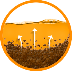 DIRT