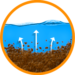 DIRT