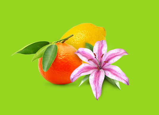 Cleans and Deodorizes