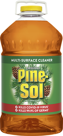 Pine-Sol Toilet Bowl Cleaner Brush with Holder