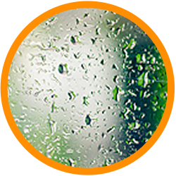 GLASS<br /> 